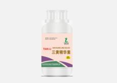 &#24320;&#20113;&#32593;&#39029;&#29256;