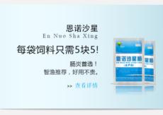 &#24320;&#20113;&#32593;&#39029;&#29256;