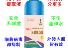 &#24320;&#20113;&#32593;&#39029;&#29256;