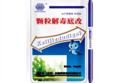 &#24320;&#20113;&#32593;&#39029;&#29256;