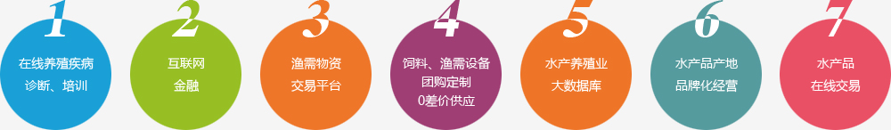 开云网页版