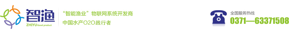 &#24320;&#20113;&#32593;&#39029;&#29256;